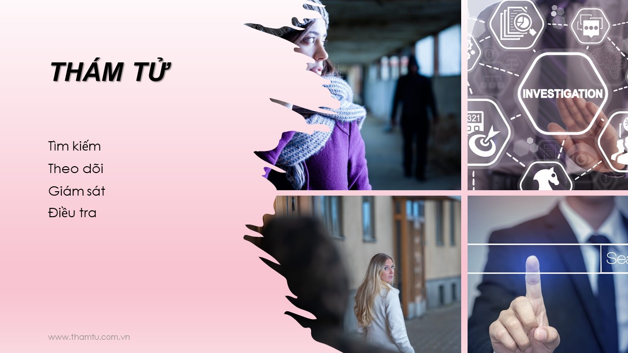 Các giải pháp điều tra và thu thập thông tin VDT cung cấp cho doanh nghiệp